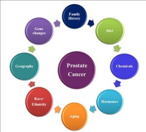 Prostate risk detection