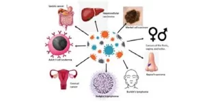 Cervical Cancer Harshmitra
