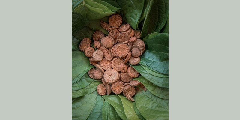 betel-nuts