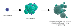 chemo-types